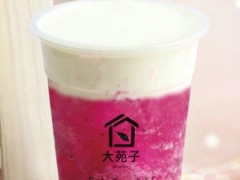 大苑子加盟條件有哪些？加盟大苑子難不難？