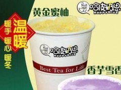 廣東哈皮奶思奶茶加盟好不好，奶茶行業(yè)市場(chǎng)分析