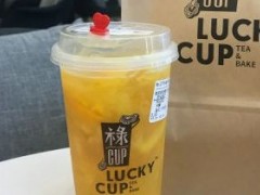 祿Cup Lucky cup奶茶好喝嗎？祿Cup Lucky cup的加盟條件有哪些？