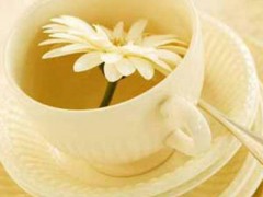 茶野奶茶店加盟費用多少？茶野官網