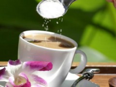 重慶舞茶道 舞茶道用的原材料