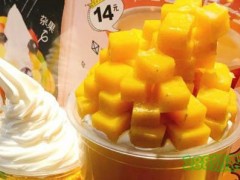 咕貓檸奶茶加盟