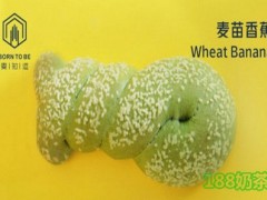 麥知道加盟流程復(fù)雜嗎？麥知道加盟靠譜嗎？