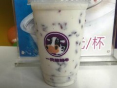 一只酸奶牛如何，一只酸奶牛的產(chǎn)品特色