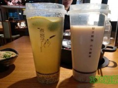 麥客子?甜醅奶茶加盟