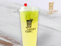祿Cup加盟