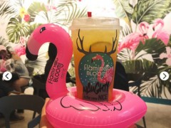 火烈鳥奶茶加盟