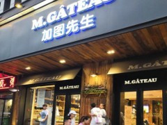 加圖先生加盟