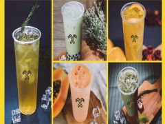 吸吉茶加盟