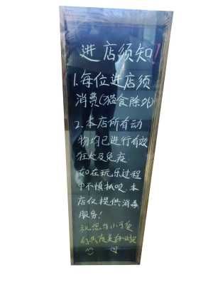 寵物主題咖啡店越開越多，監(jiān)管處于空白地
