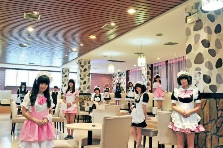 日本宅癡迷的女仆咖啡廳，中國(guó)宅男進(jìn)去就打麻將！