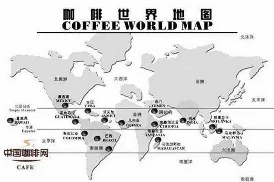 咖啡市場供需情況如何？影響咖啡價(jià)格的因素有哪些？