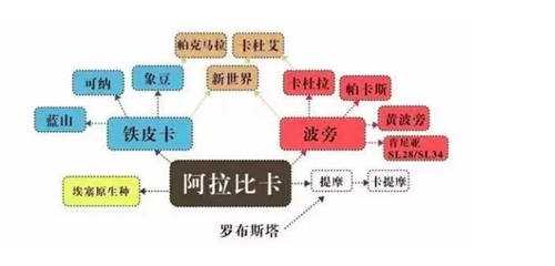 咖啡冷知識之鐵皮卡與波旁的風(fēng)味區(qū)別