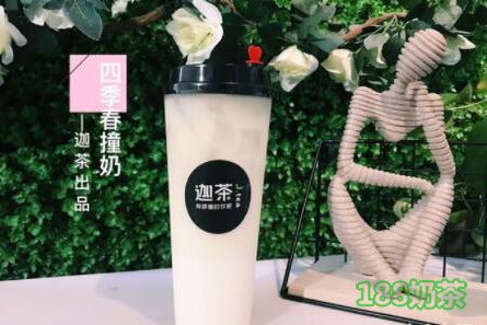 迦茶加盟