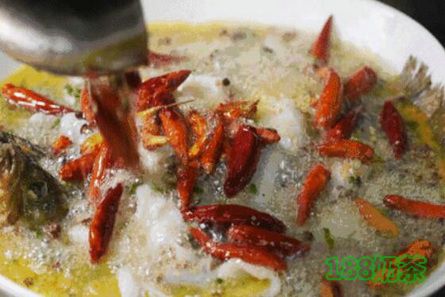 瑤先生酸菜魚加盟