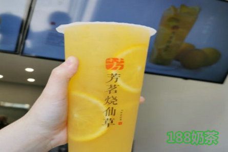 芳茗燒仙草加盟