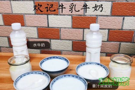 鮮奶吧怎么加盟？歡記牛乳牛奶加盟流程是什么？