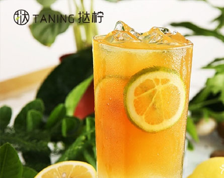 撻檸加盟