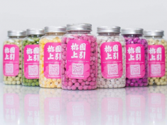 桃園上引加盟