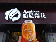 哈尼梨花民族茶飲加盟