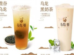 烏龍煎茶飲加盟