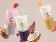 谷芋奶茶加盟怎么樣？谷芋奶茶加盟好不好？