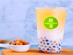 樹夏茶飲加盟