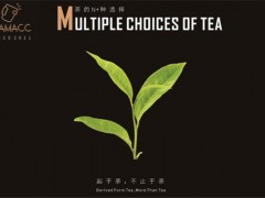 茶瑪TEAMACC加盟