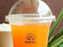 奶熊奶茶加盟店如何提高競爭力，如何提高利潤？