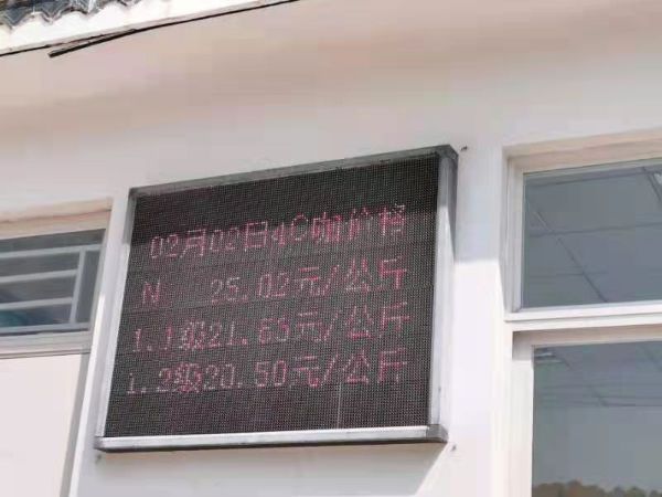 2月2日的咖啡收購價格