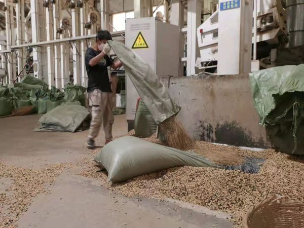 正在給客戶做脫殼加工的代工廠