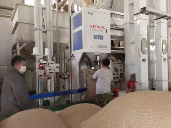 正在給客戶做脫殼加工的代工廠 2