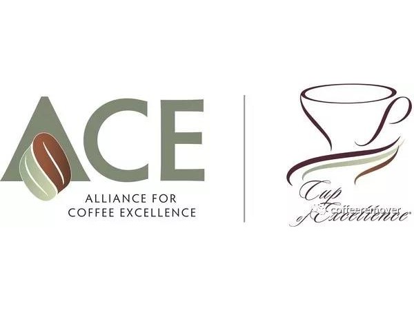 揭開COE（Cup of Excellence）的神秘面紗