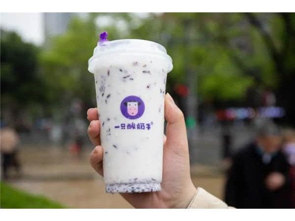 一只酸奶牛加盟電話查詢，怎么才能挑到好品牌