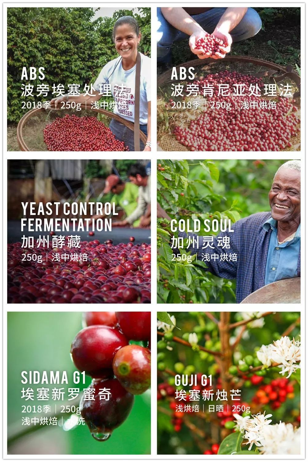 https://image.ipaiban.com/upload-ueditor-image-20190917-1568716531079063736.jpg