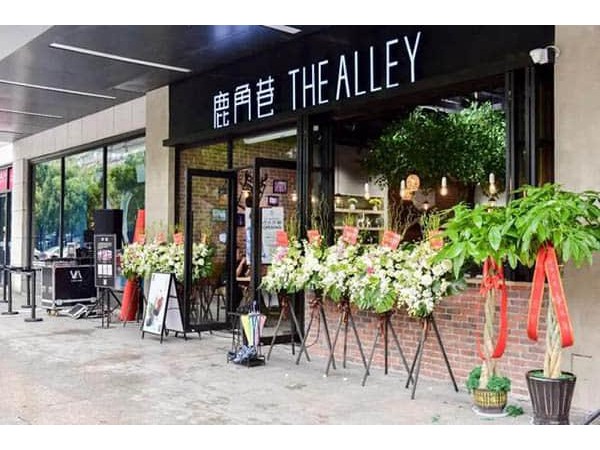 鹿角巷一年能賺多少錢(qián)，新晉奶茶品牌刷爆小紅書(shū)