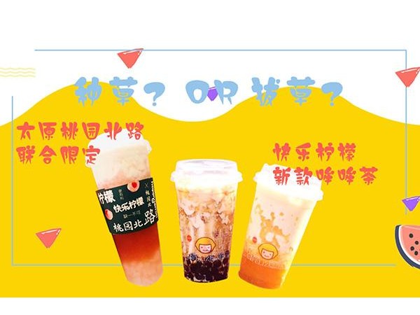 快樂檸檬浙江溫州總部現(xiàn)在還能加盟嗎，小白開店必知