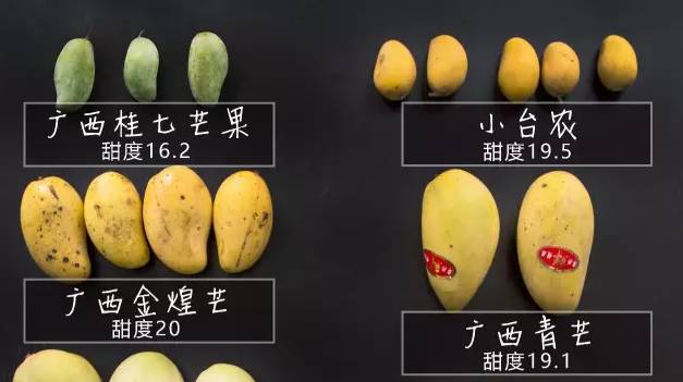 最全芒果測評： 個(gè)產(chǎn)地，個(gè)品種，告訴你哪種最好吃