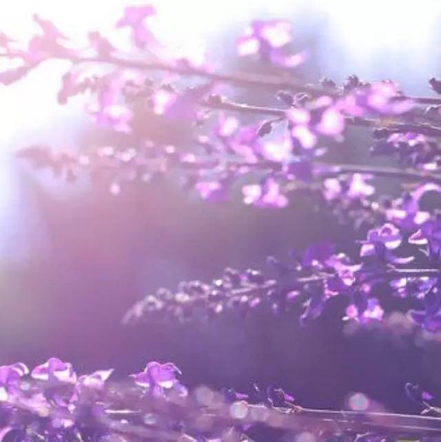 【潮飲】 個平凡元素匯聚，成就精華之作