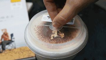 這個杯蓋據(jù)說會掀起模仿風(fēng)潮！不信半年后見