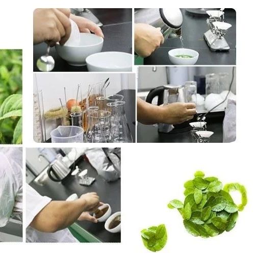 品牌展播丨茶立芳