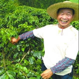 【行業(yè)資訊】廣東自產(chǎn)咖啡？來嘗嘗味道