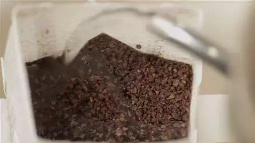 濾掛式咖啡恐致癌？