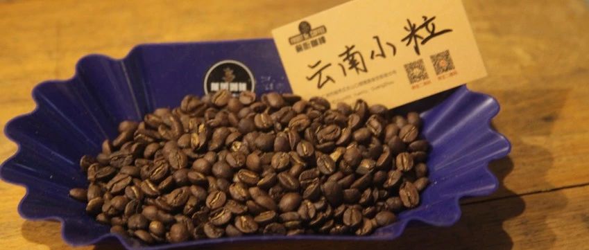 【前街咖啡尋豆記】云南小粒咖啡的專題報(bào)告！