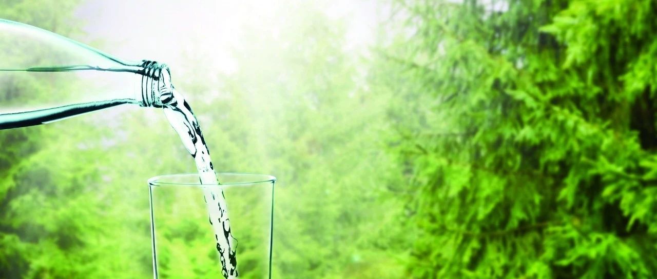 用哪種水沖煮咖啡最好？| 科普好文