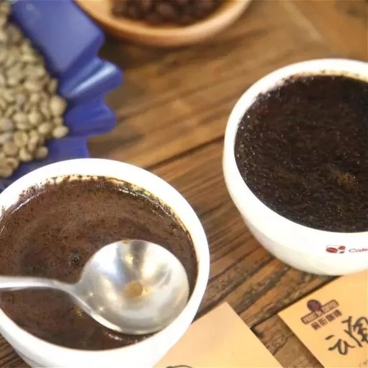 云南保山小粒指的是卡蒂姆還是鐵皮卡呢？它倆有啥區(qū)別？