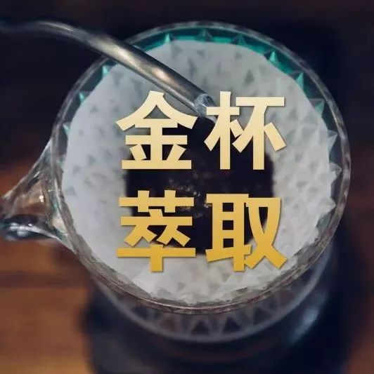 金杯理論 | 只知道萃取率在 %-%，什么是咖啡萃??？