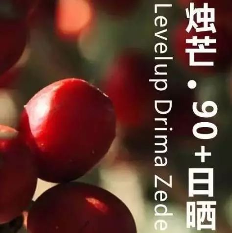 【預(yù)告】粉絲福利，明天燭芒有折購！