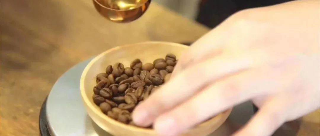 瑕疵豆的世界 | 熟豆里的瑕疵豆有哪些？