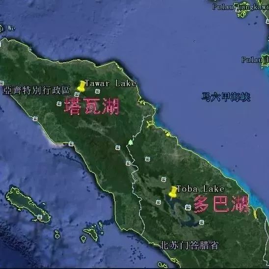 印尼黃金曼特寧 | 咖啡工房研習課室